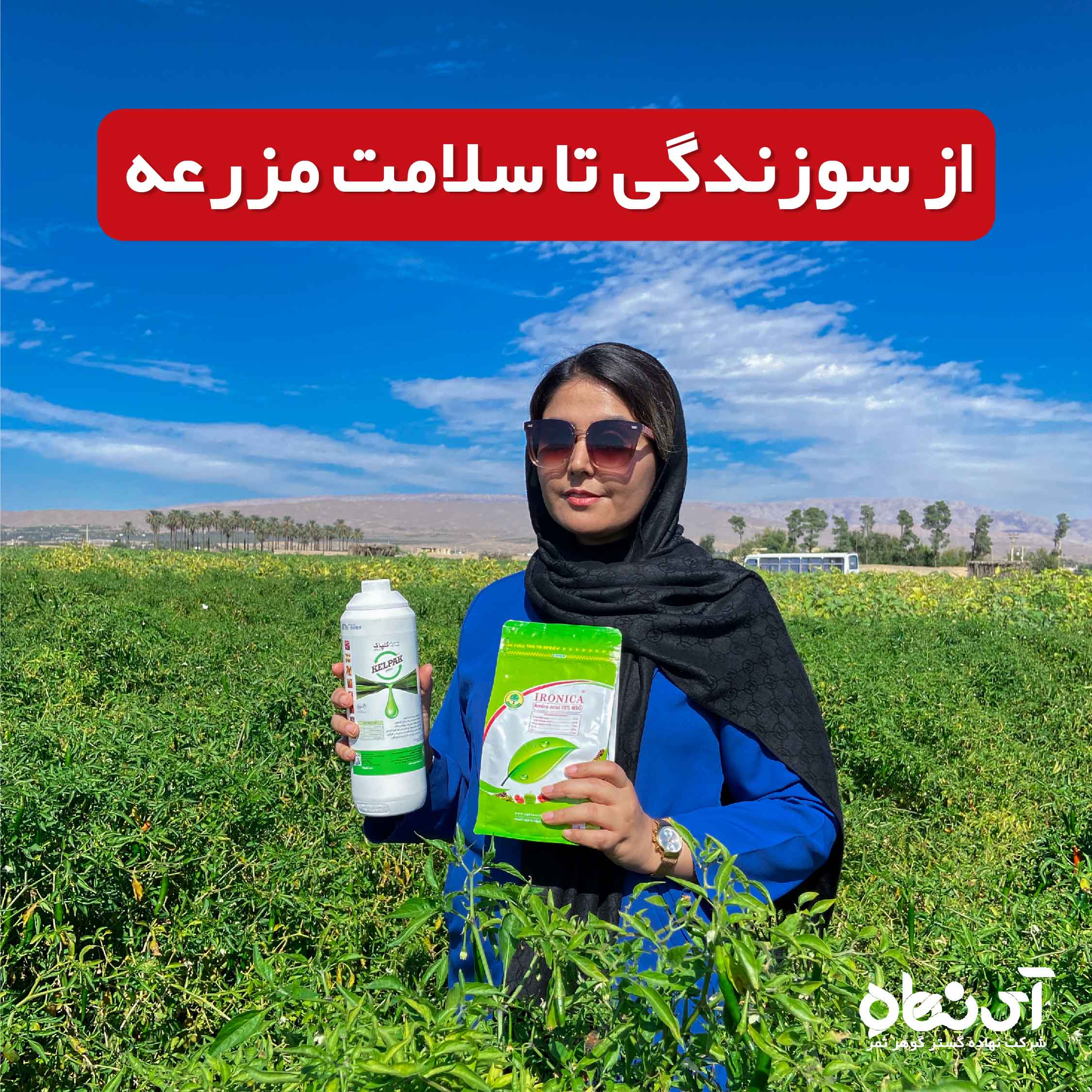 از سوزندگی تا سلامت مزرعه